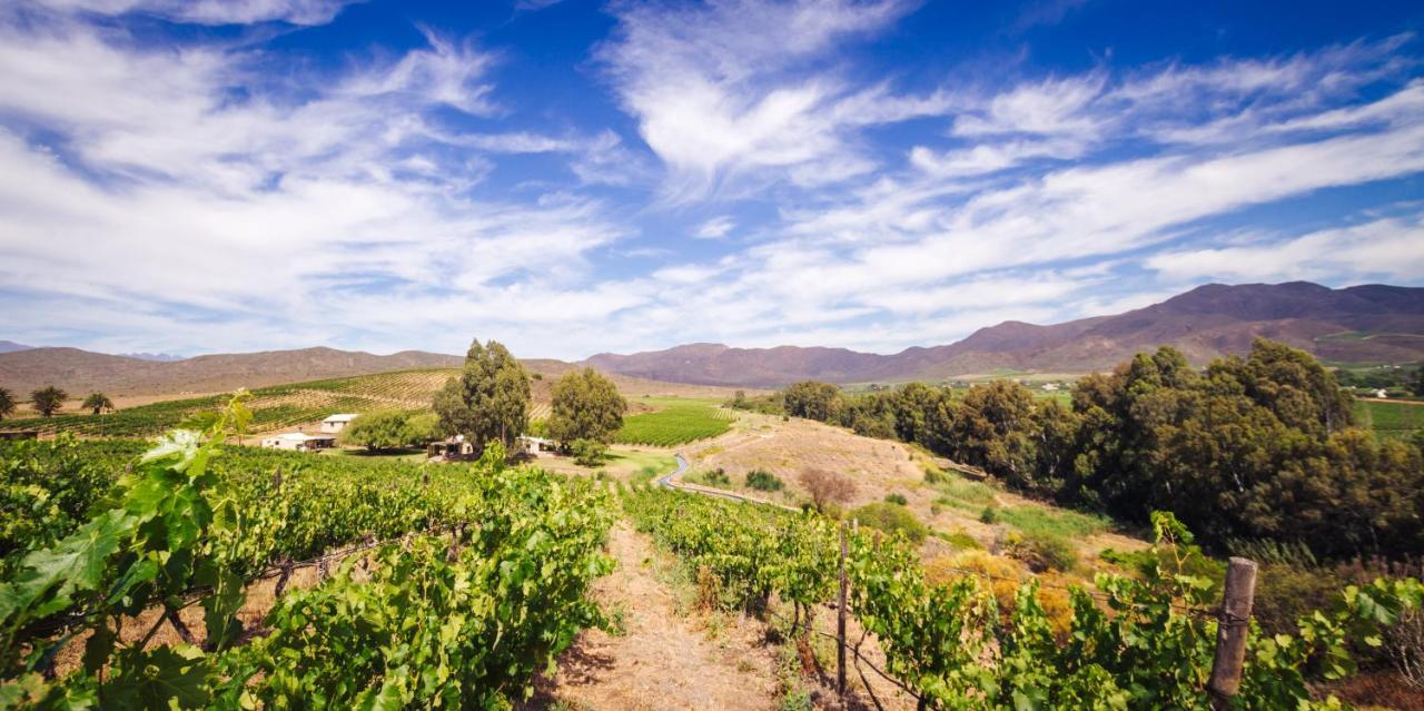 Arendsig Wine Estate & Cottages 보니발 외부 사진