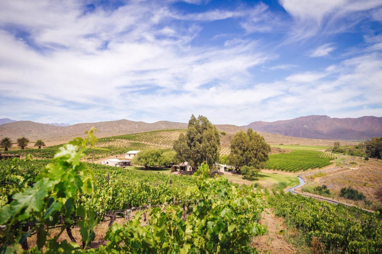 Arendsig Wine Estate & Cottages 보니발 외부 사진