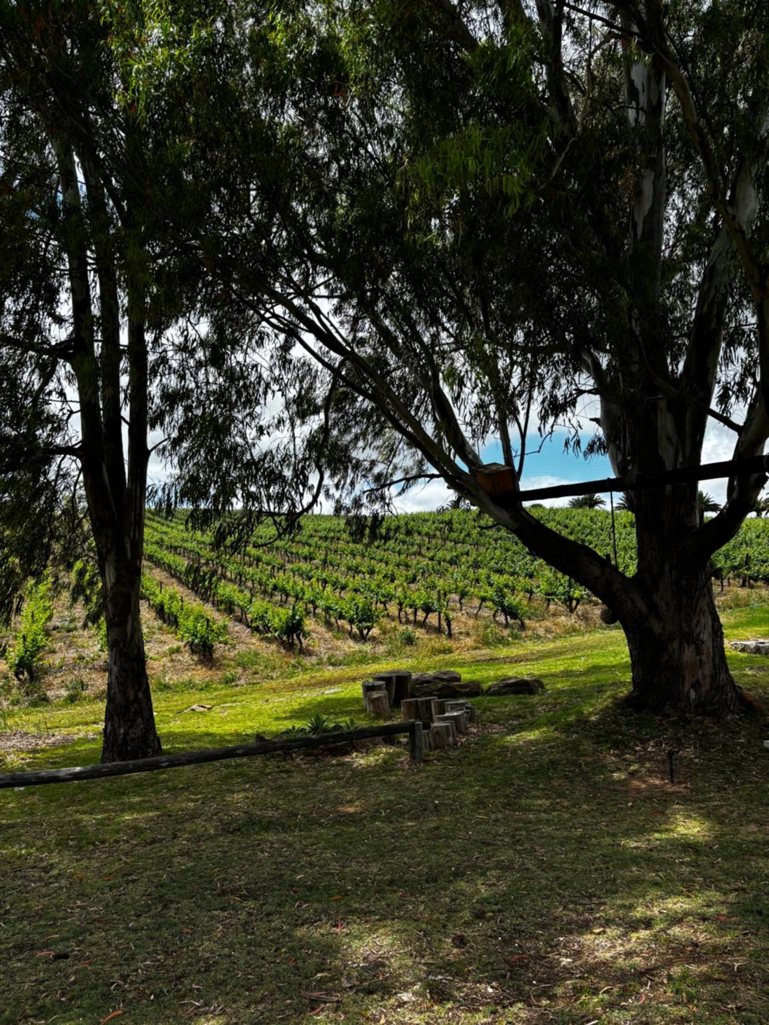 Arendsig Wine Estate & Cottages 보니발 외부 사진