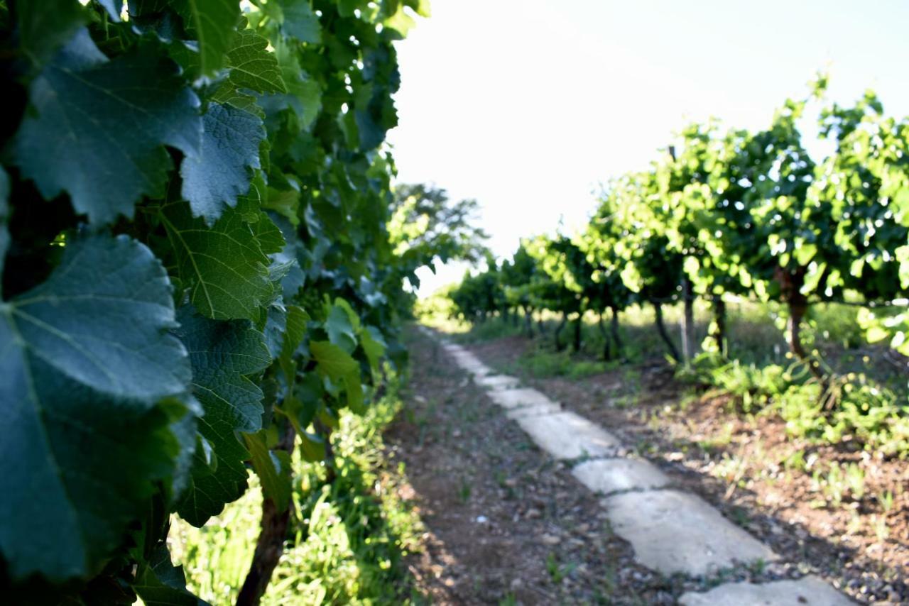 Arendsig Wine Estate & Cottages 보니발 외부 사진